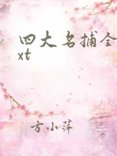 四大名捕全集txt