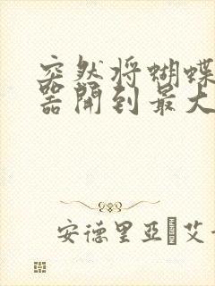 突然将蝴蝶遥控器开到最大