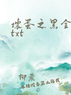 坏蛋之黑金帝国txt