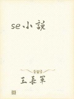 se小说