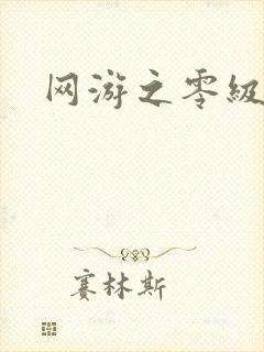 网游之零级神话