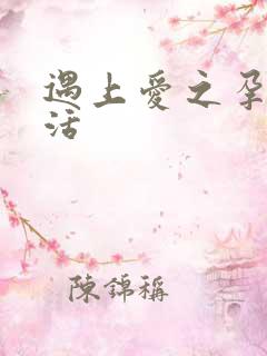 遇上爱之孕夫生活