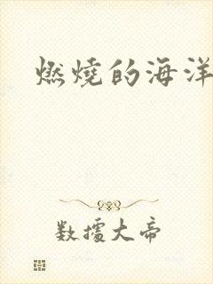 燃烧的海洋下载