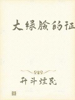 大绿脸的征途