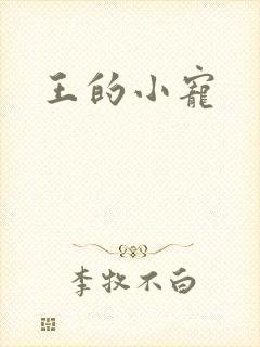 王的小宠