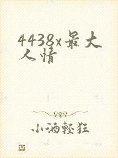 4438x最大人情