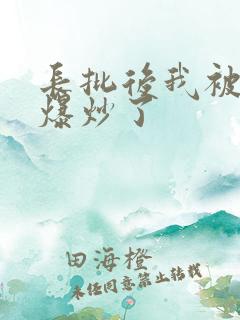 长批后我被宿敌爆炒了