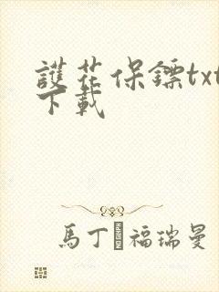 护花保镖txt下载