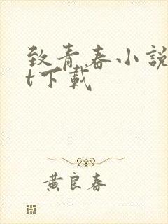 致青春小说txt下载