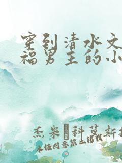 穿到清水文里造福男主的小说