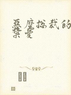 恶魔总裁的一夜禁爱