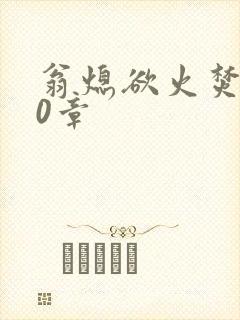 翁熄欲火焚身50章