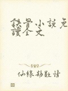 铁骨小说免费阅读全文