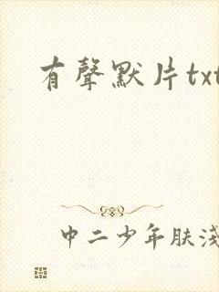 有声默片txt