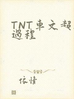 TNT车文超细过程