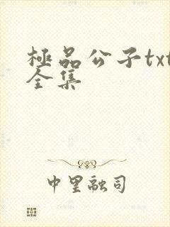 极品公子txt全集