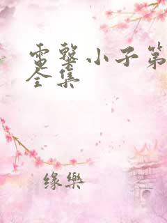 电击小子第二部全集