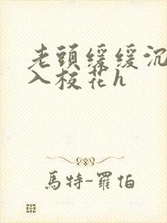 老头缓缓沉腰进入校花h