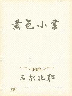 黄色小书