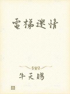 电梯迷情