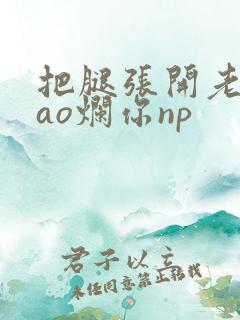 把腿张开老子cao烂你np