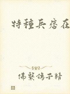 特种兵痞在都市