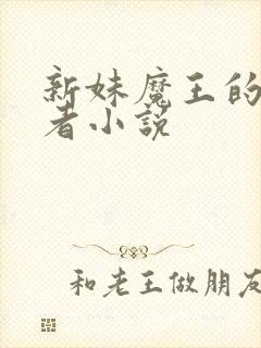 新妹魔王的契约者小说