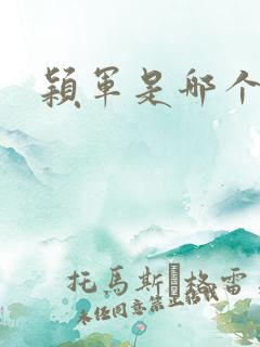 颖军是哪个军阀