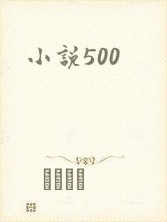 小说500