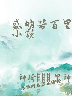 盛明若百里轻尘小说