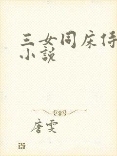 三女同床侍一夫小说