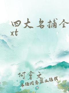 四大名捕全集txt