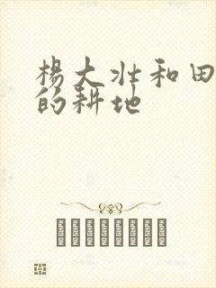 杨大壮和田桂花的耕地