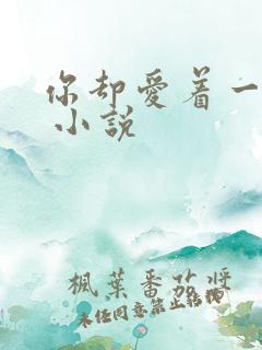 你却爱着一个他 小说