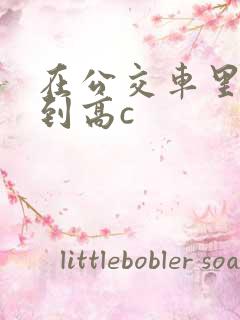 在公交车里c弄到高c