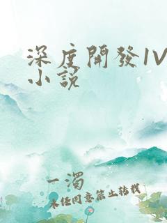 深度开发1V3小说