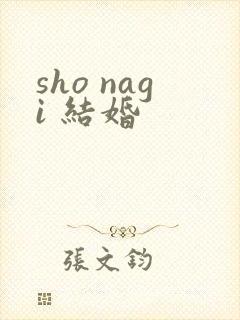 sho nagi 结婚