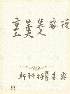 重生慕容复之弄王夫人