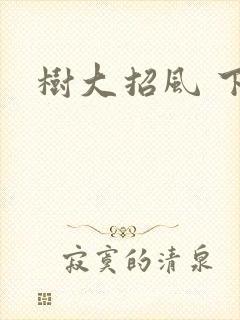 树大招风 下载