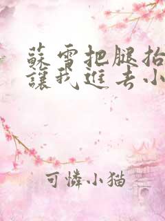 苏雪把腿抬起来让我进去小说