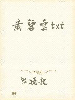黄碧云txt