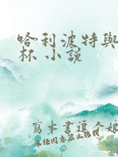 哈利波特与火焰杯 小说