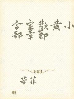 合家欢黄小梅全部章节