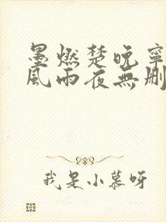 墨燃楚晚宁痴缠风雨夜无删减
