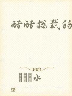 酷酷总裁的情人