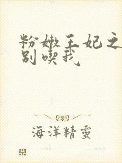 粉嫩王妃之殿下别吃我