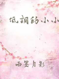 低调的小小宫女