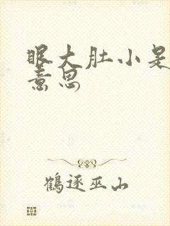 眼大肚小是什么意思