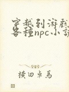 穿越到游戏里和各种npc小说