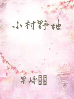 小村野地